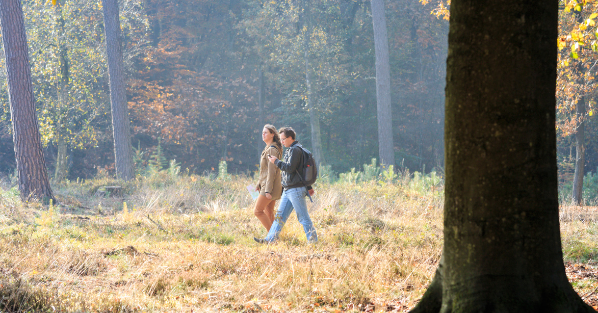 Wild, wijn en wandelen De hoge Veluwe